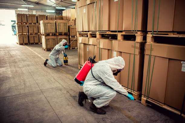 Wildlife Control Services in Hudson, PA