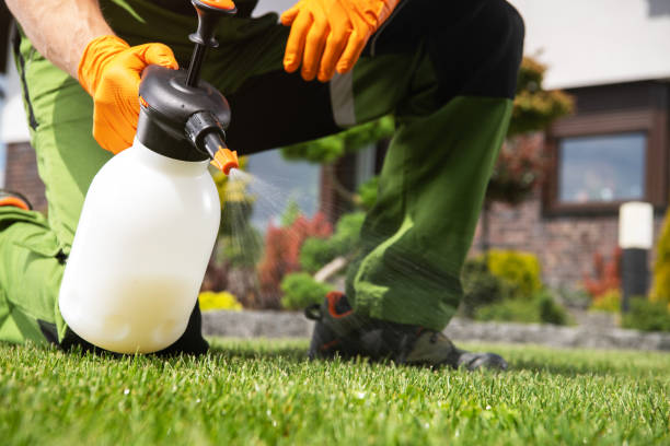 Best Affordable Pest Control Services  in Hudson, PA