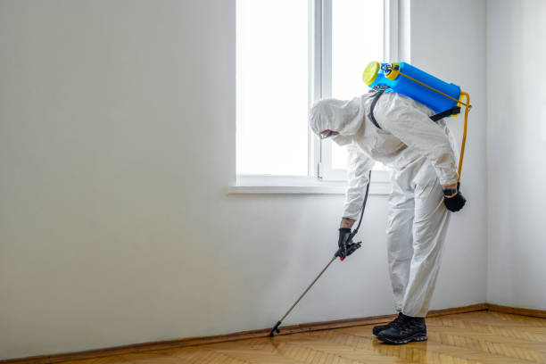 Best Residential Pest Control  in Hudson, PA