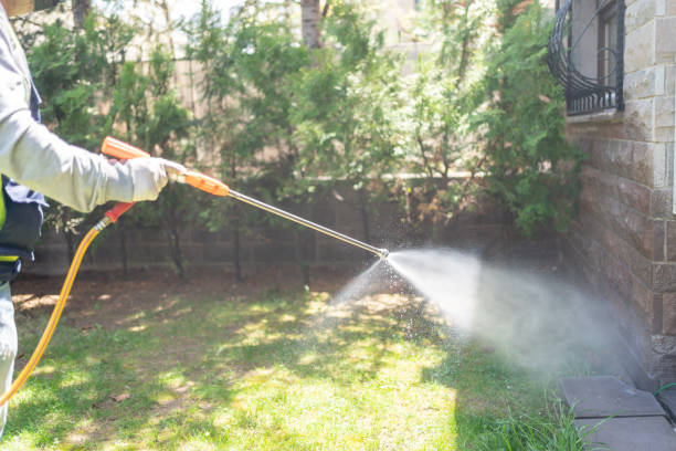 Best Flea Control Services  in Hudson, PA