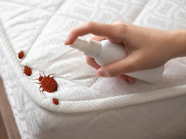 Best Termite Control Services  in Hudson, PA