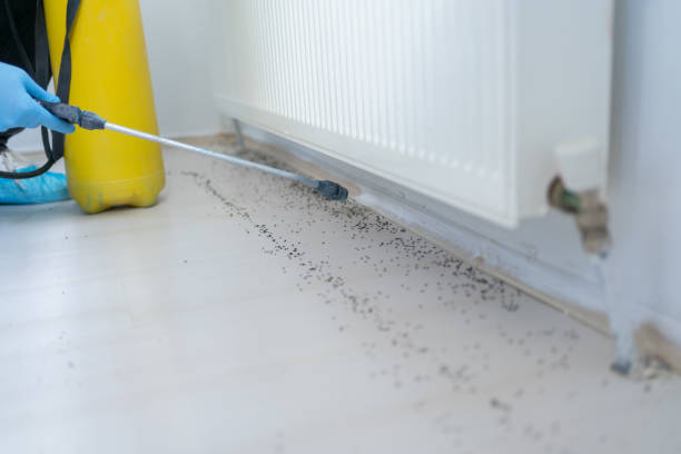 Best Pest Prevention Services  in Hudson, PA
