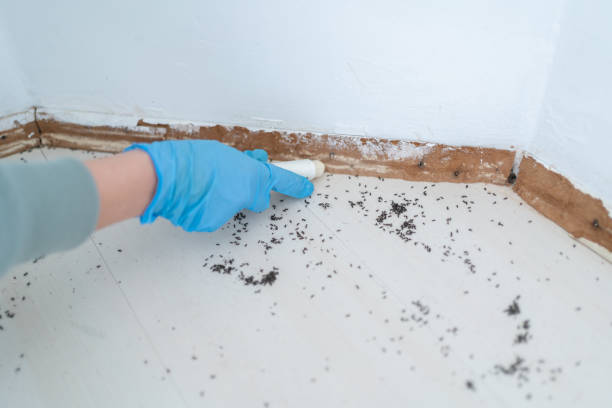 Pest Control for Restaurants in Hudson, PA